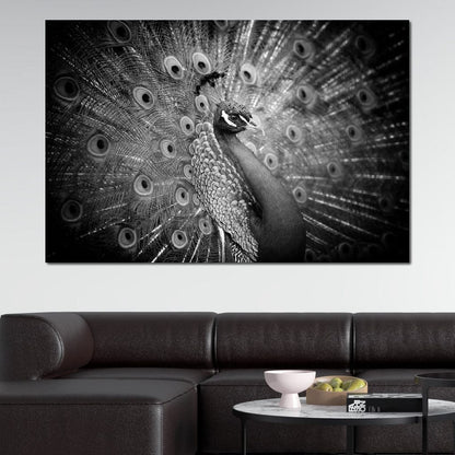 Black and White Peacock Canvas Wall Art