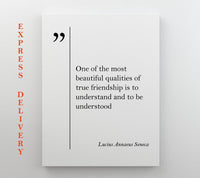 Seneca Quote Canvas Print - Framed Floating Frame Cotton Canvas Art Ready to Hang
