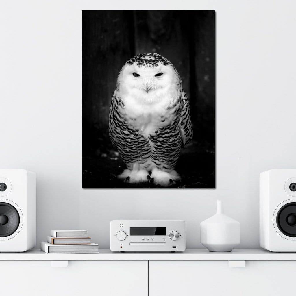 Black and White Snowy Owl Canvas Wall Art