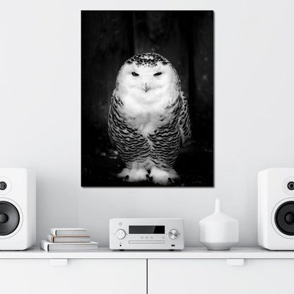 Black and White Snowy Owl Canvas Wall Art