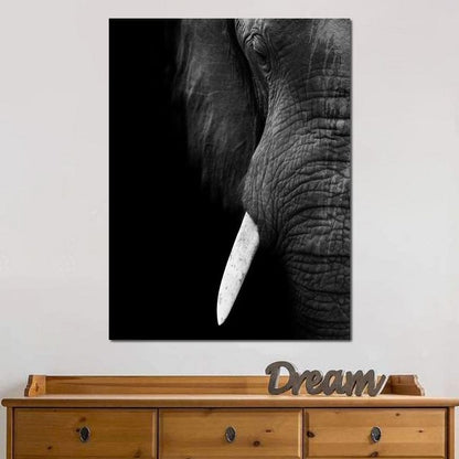 Black and White Elephant Close up Canvas Wall Art