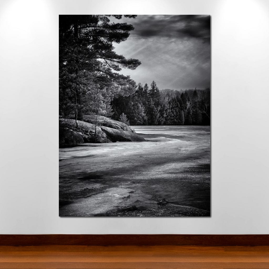 Gullwing Lake Canvas Wall Art