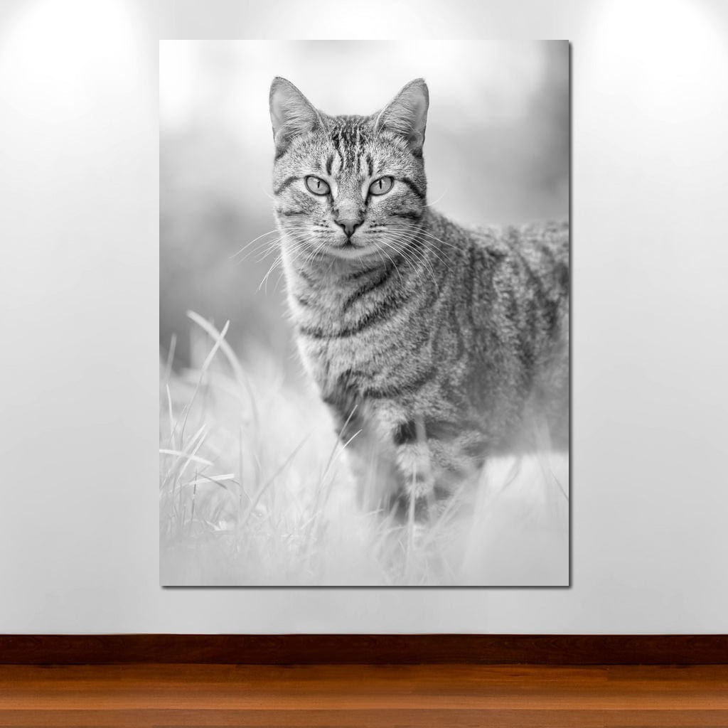 Black & White Kitty Cat Canvas Wall Art