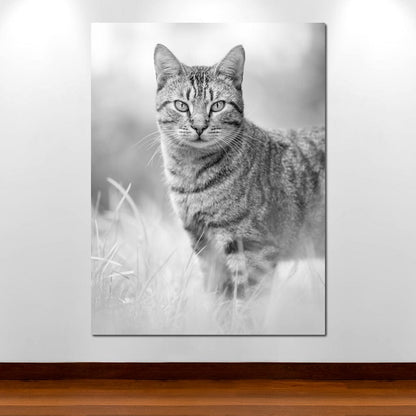 Black & White Kitty Cat Canvas Wall Art