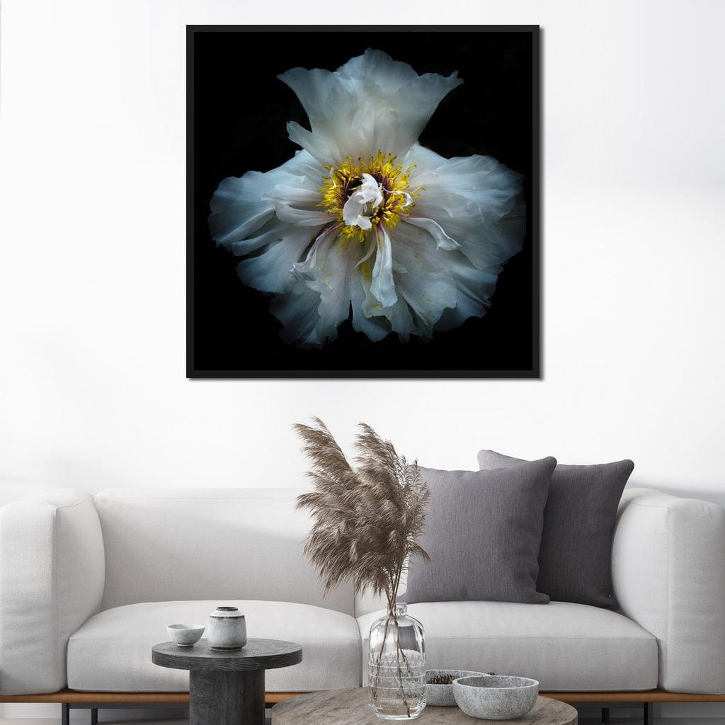 Backyard Flowers Series 4 Canvas Wall Art