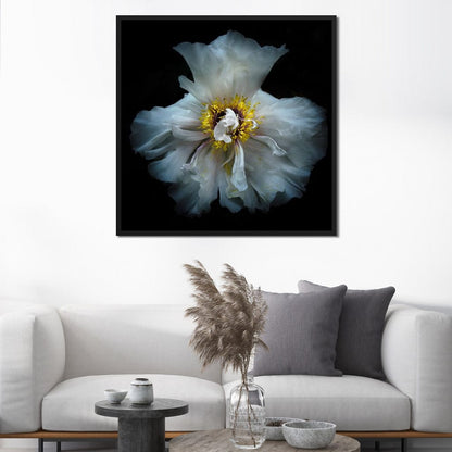 Backyard Flowers Series 4 Canvas Wall Art