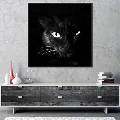 Black and White Cat Canvas Wall Art