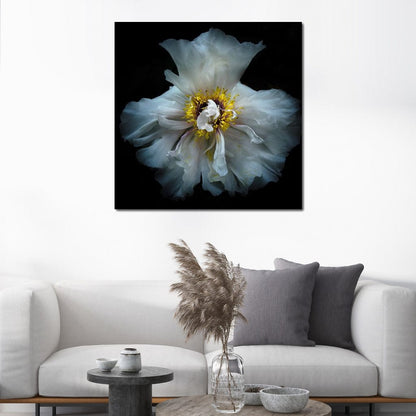Backyard Flowers Series 4 Canvas Wall Art