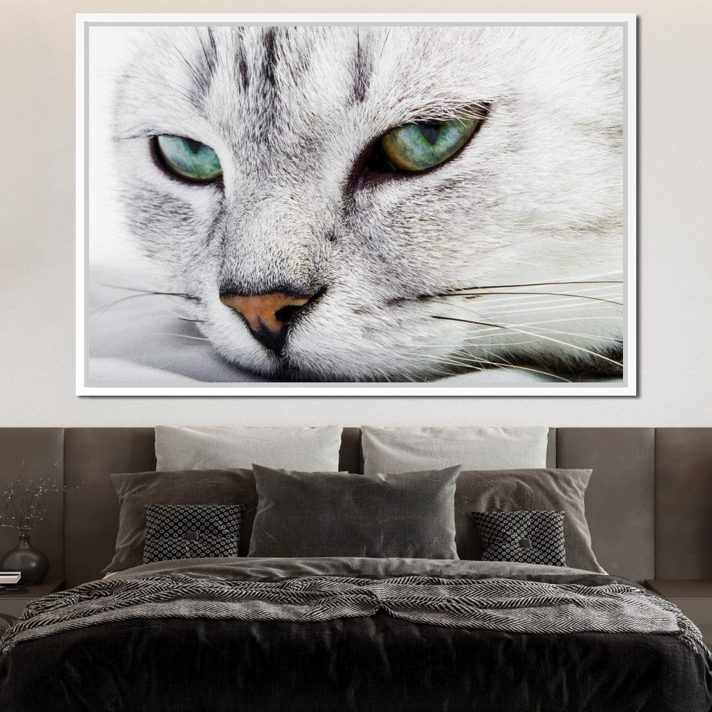 Cat Relaxing Canvas Wall Art