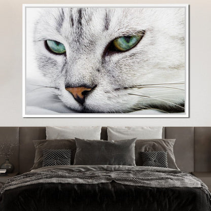 Cat Relaxing Canvas Wall Art