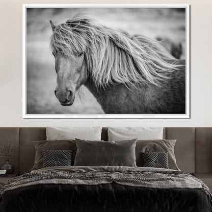 Icelandic Horse in Black & White Canvas Wall Art