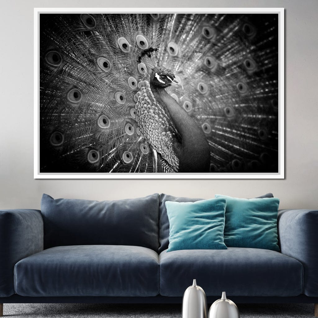 Black and White Peacock Canvas Wall Art