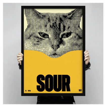SOUR Cat Canvas Wall Art – Bold Graphic Print