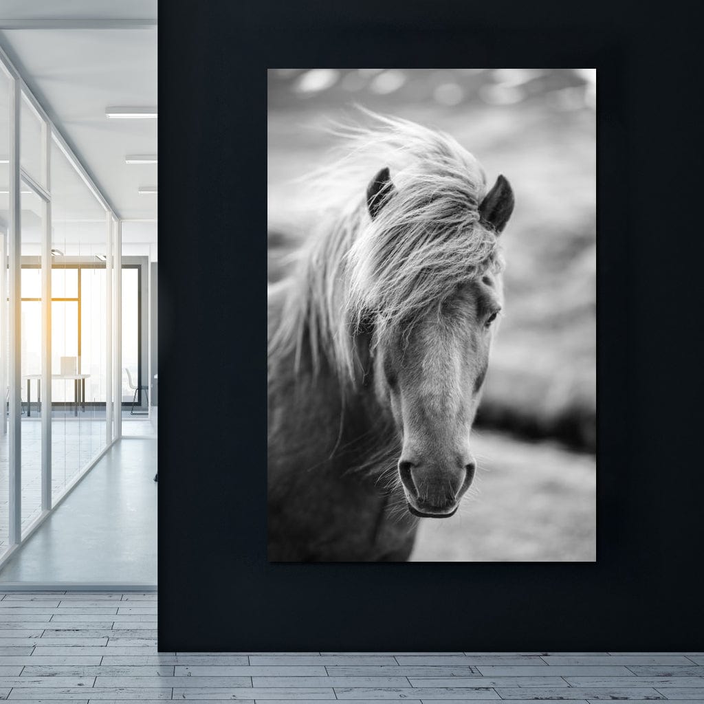 Icelandic Horse Canvas Wall Art