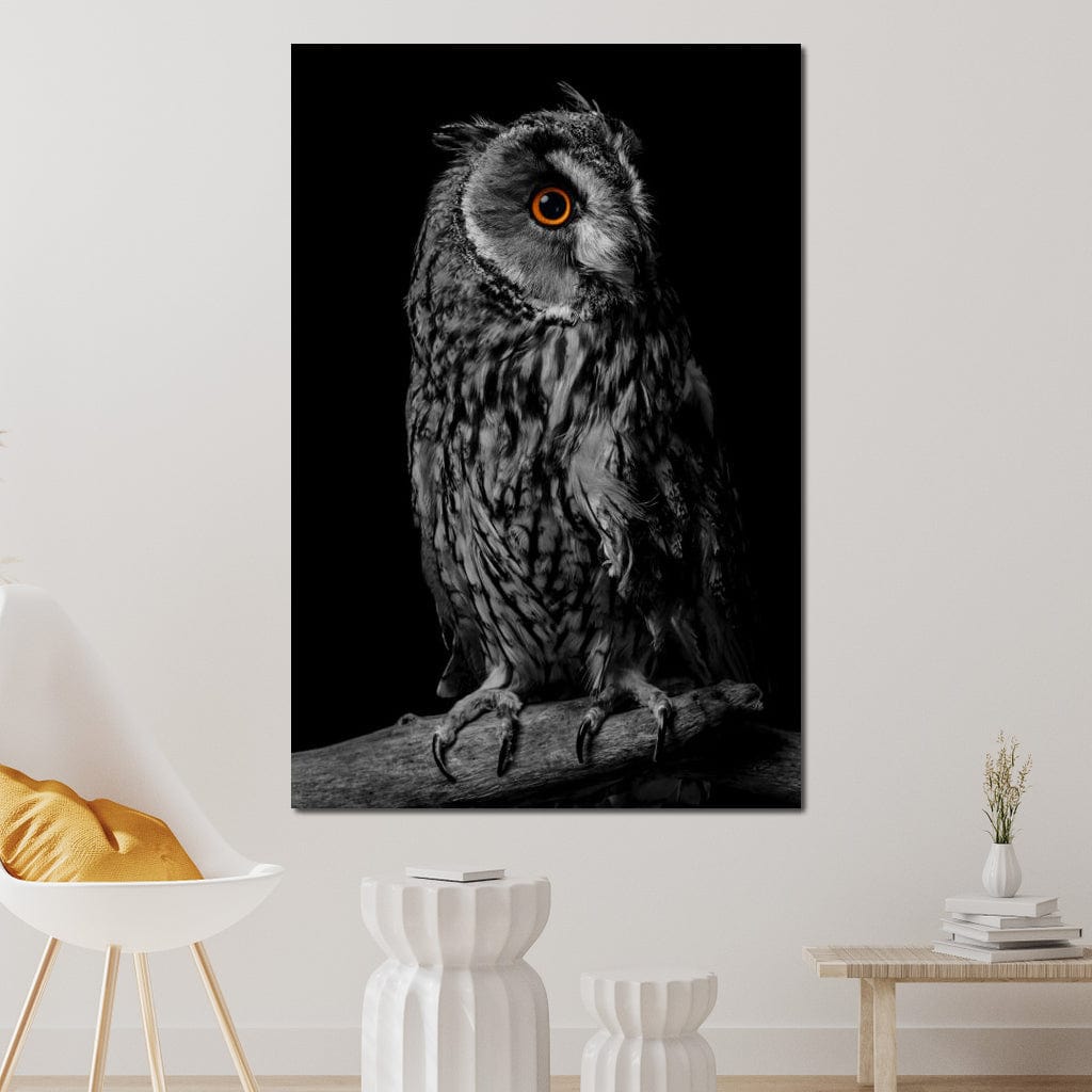Black & White Owl Canvas Wall Art
