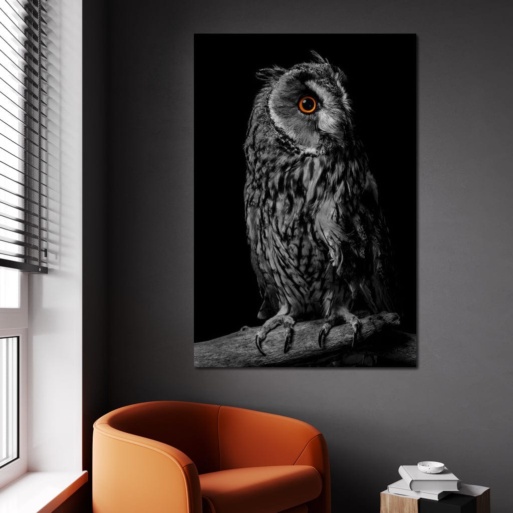 Black & White Owl Canvas Wall Art