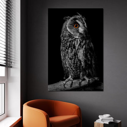 Black & White Owl Canvas Wall Art