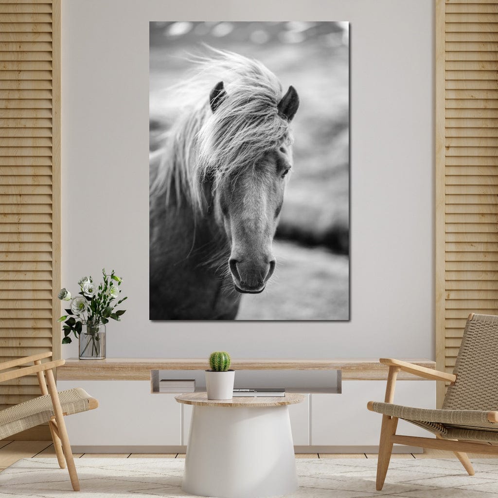 Icelandic Horse Canvas Wall Art