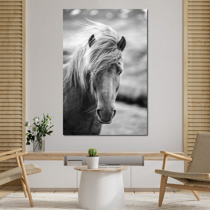 Icelandic Horse Canvas Wall Art