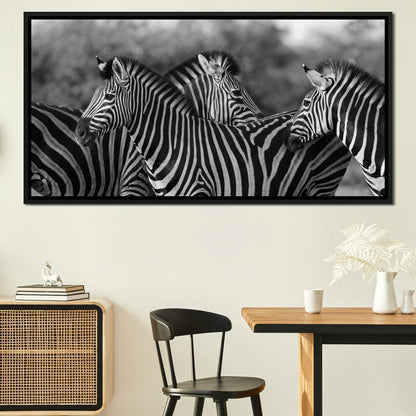 Zebra Herd in Black & White Canvas Wall Art