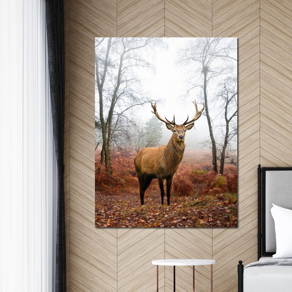 Red Deer Stag Canvas Wall Art