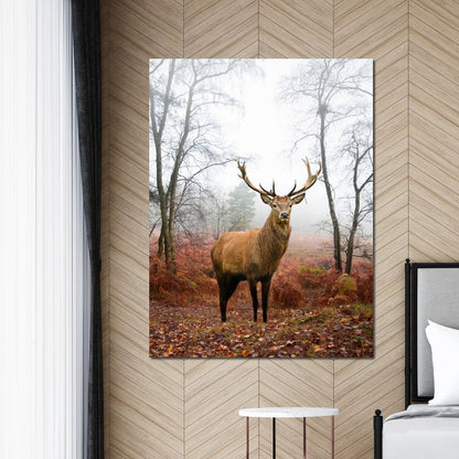 Red Deer Stag Canvas Wall Art