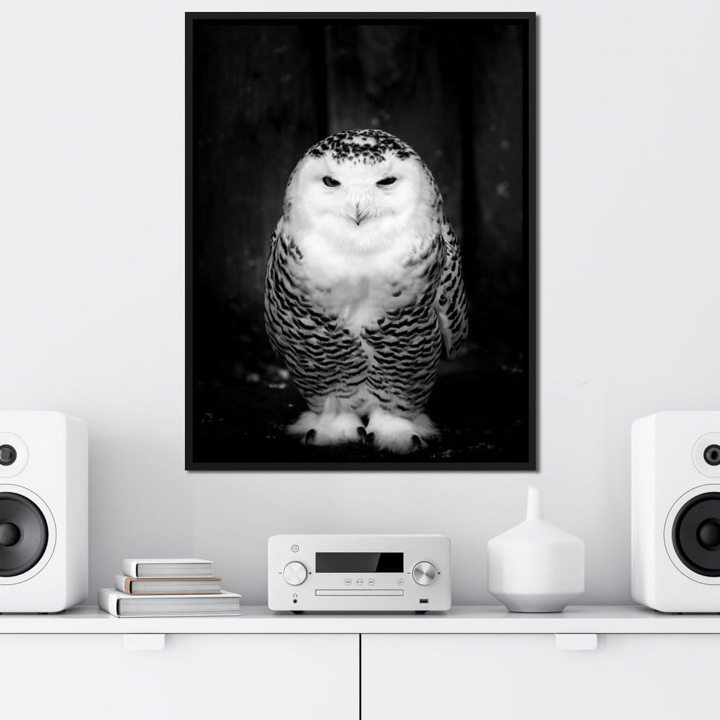 Black and White Snowy Owl Canvas Wall Art