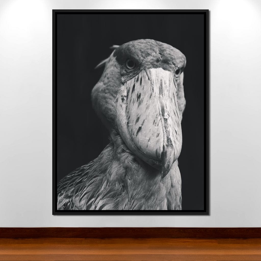 Black and White Shoebill Stork Canvas Wall Art