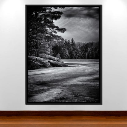 Gullwing Lake Canvas Wall Art