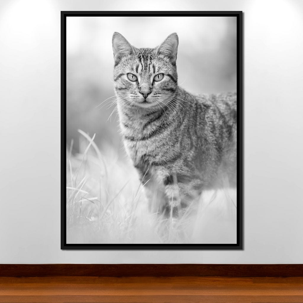 Black & White Kitty Cat Canvas Wall Art