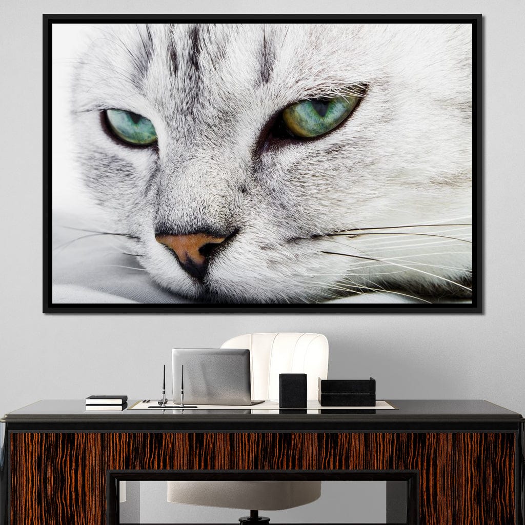 Cat Relaxing Canvas Wall Art