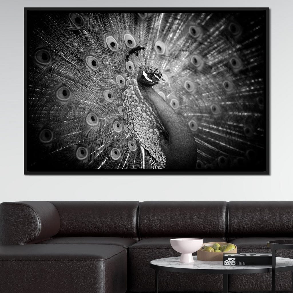 Black and White Peacock Canvas Wall Art