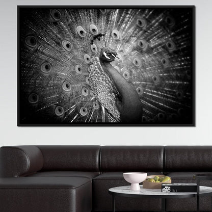 Black and White Peacock Canvas Wall Art