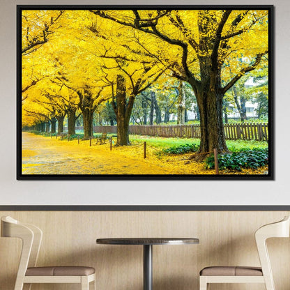 Yellow Ginkgo Trees Canvas Wall Art