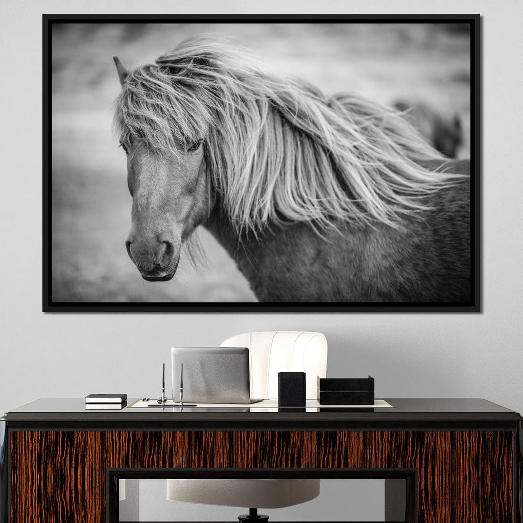 Icelandic Horse in Black & White Canvas Wall Art