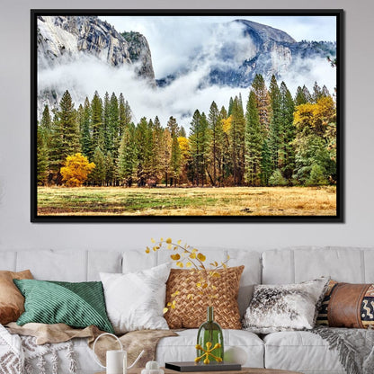 Yosemite National Park Canvas Wall Art