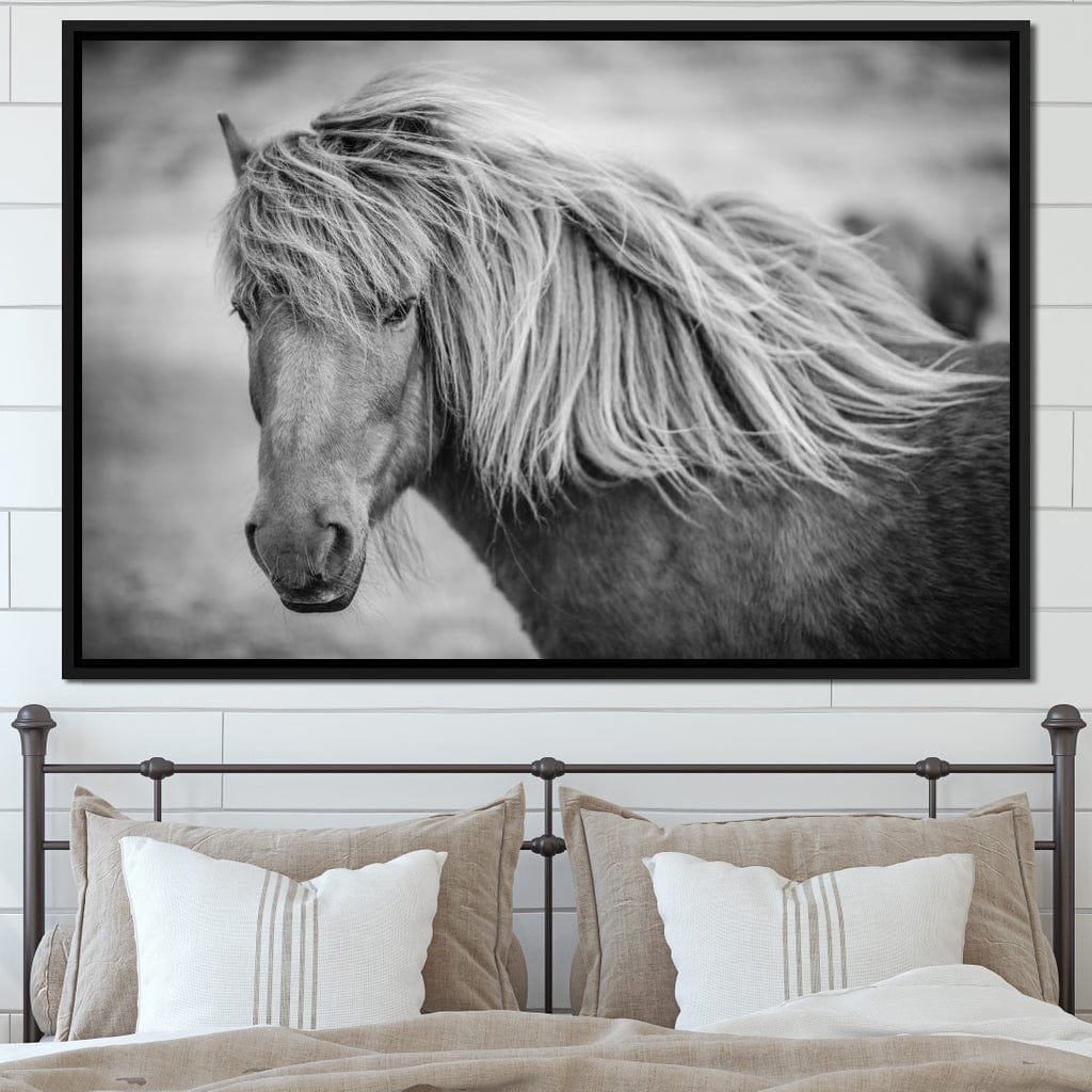 Icelandic Horse in Black & White Canvas Wall Art
