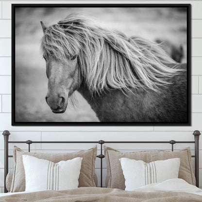 Icelandic Horse in Black & White Canvas Wall Art