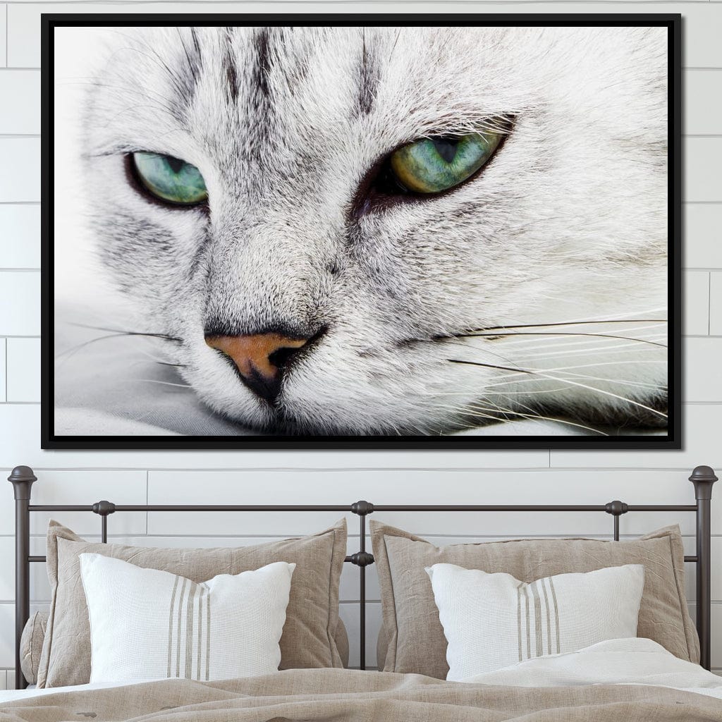 Cat Relaxing Canvas Wall Art