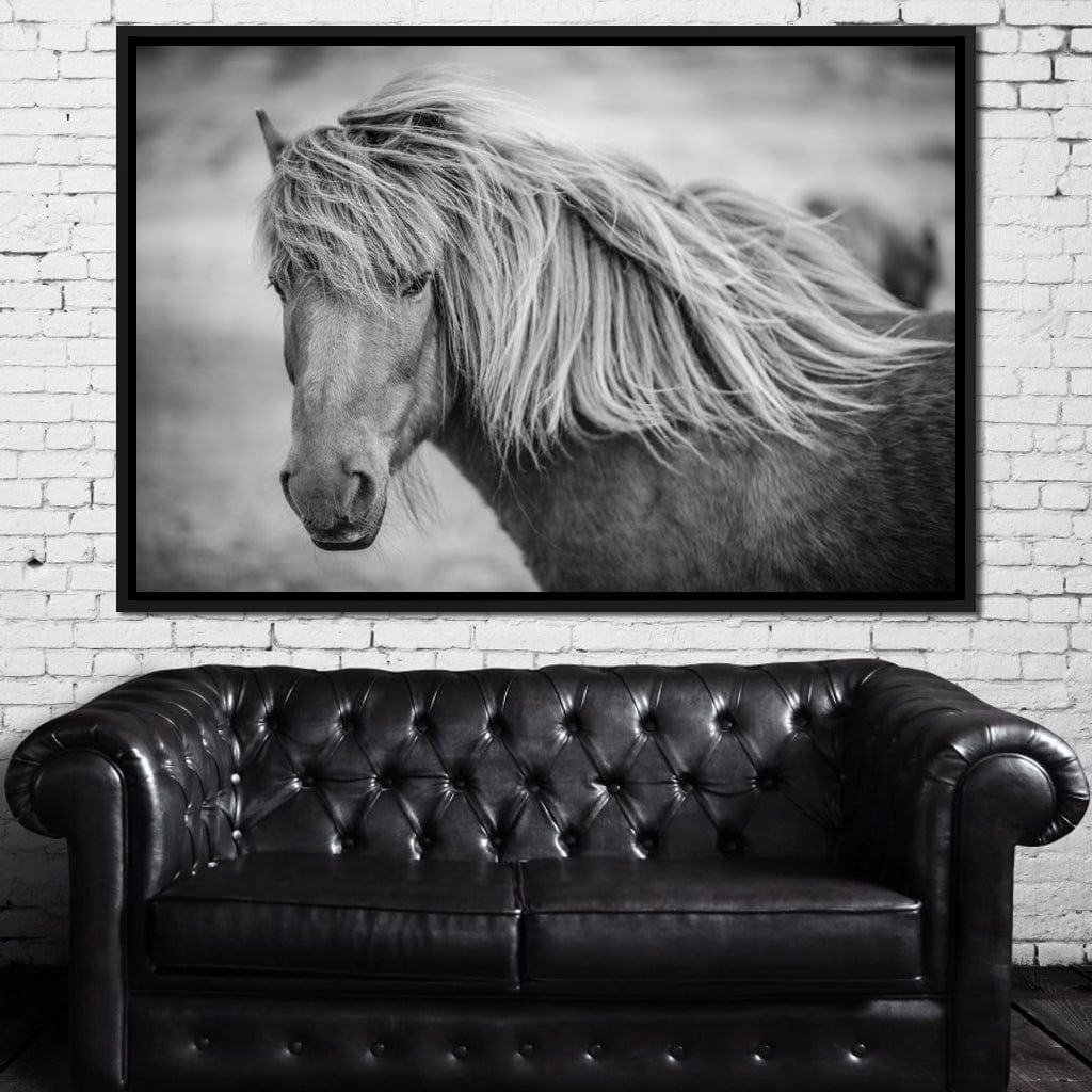 Icelandic Horse in Black & White Canvas Wall Art