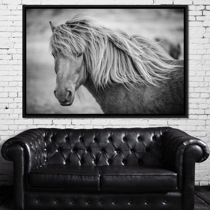 Icelandic Horse in Black & White Canvas Wall Art