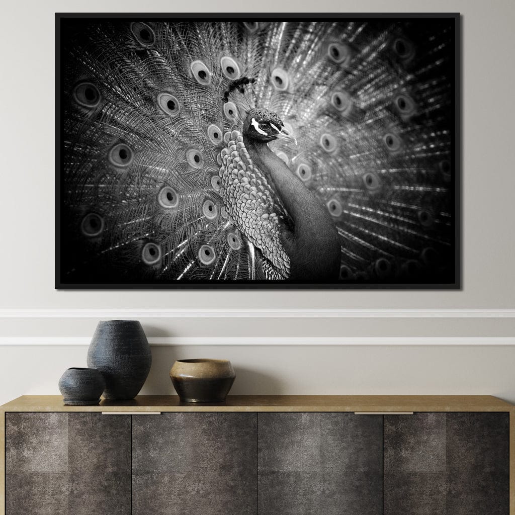 Black and White Peacock Canvas Wall Art