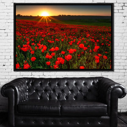 Red Poppies Field Canvas Wall Art