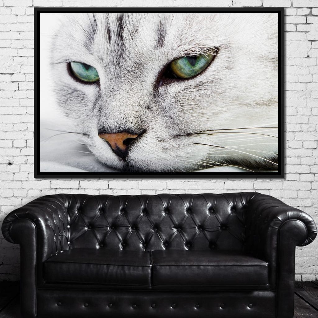 Cat Relaxing Canvas Wall Art