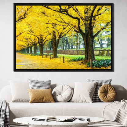 Yellow Ginkgo Trees Canvas Wall Art