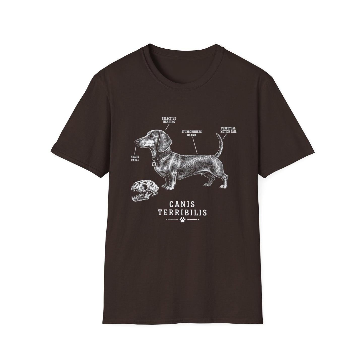 Anatomy Of A Dachshund Tee