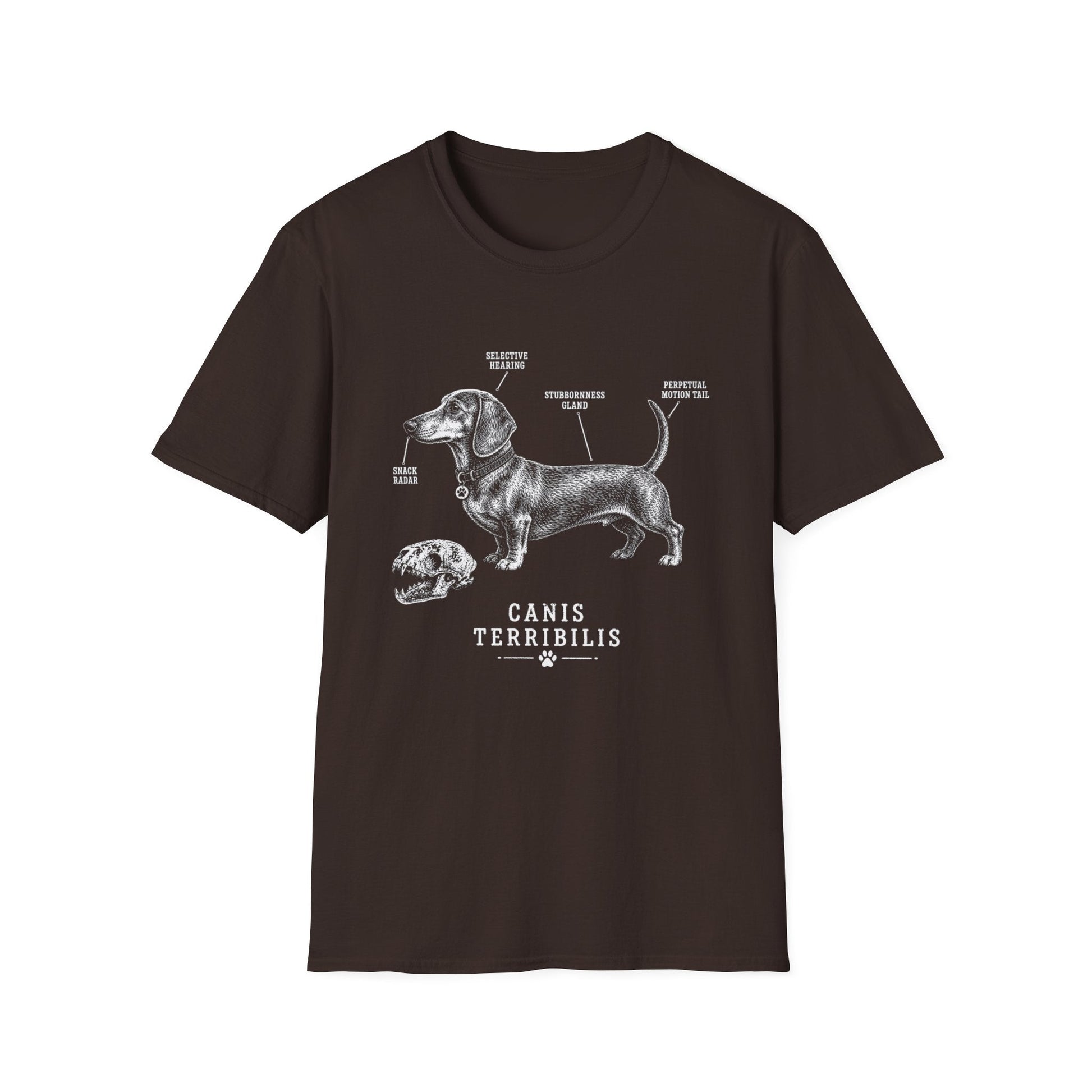 Anatomy Of A Dachshund Tee