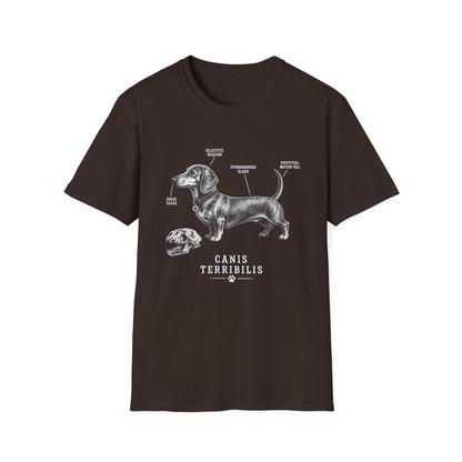 Anatomy Of A Dachshund Tee