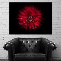 Backyard Flowers 45 Canvas Wall Art
