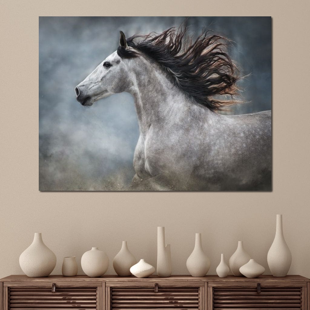 Andalusian Horse Canvas Wall Art